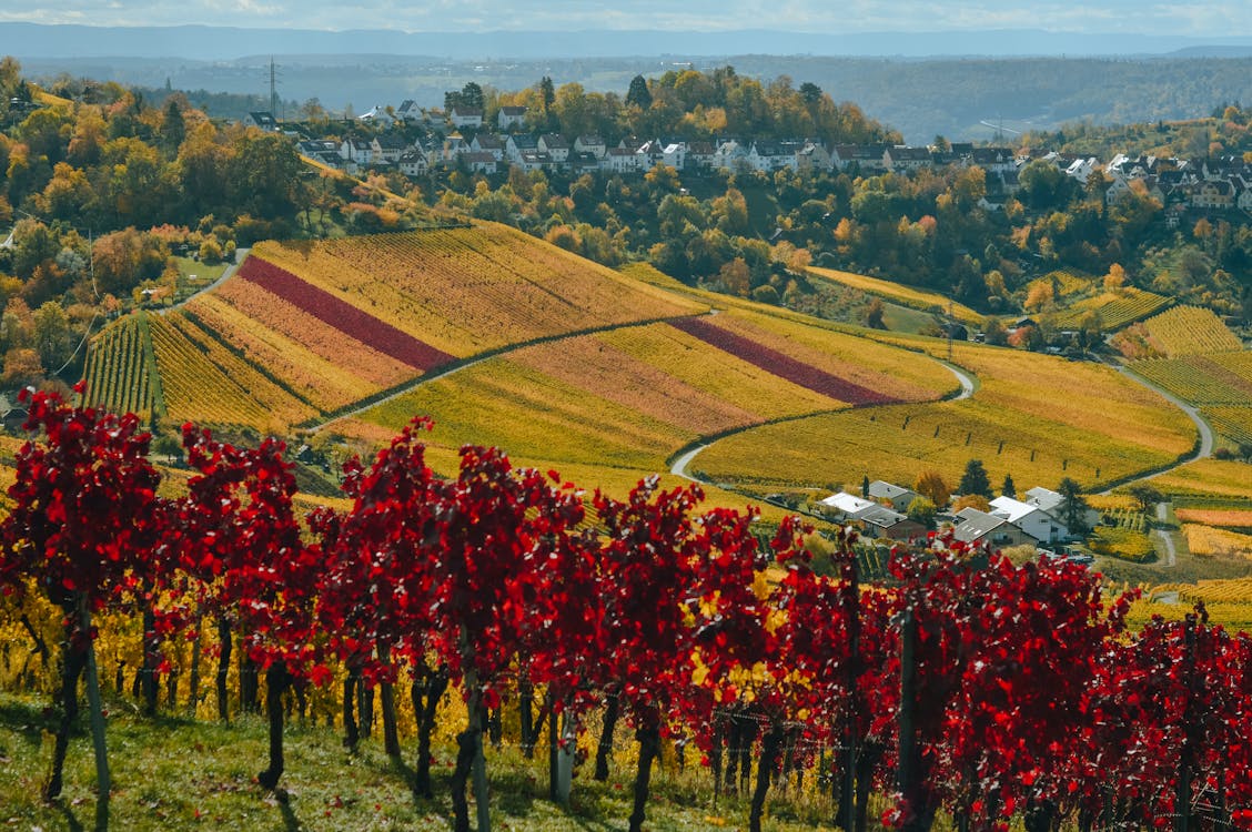 Hudson Valley vignoble paysage