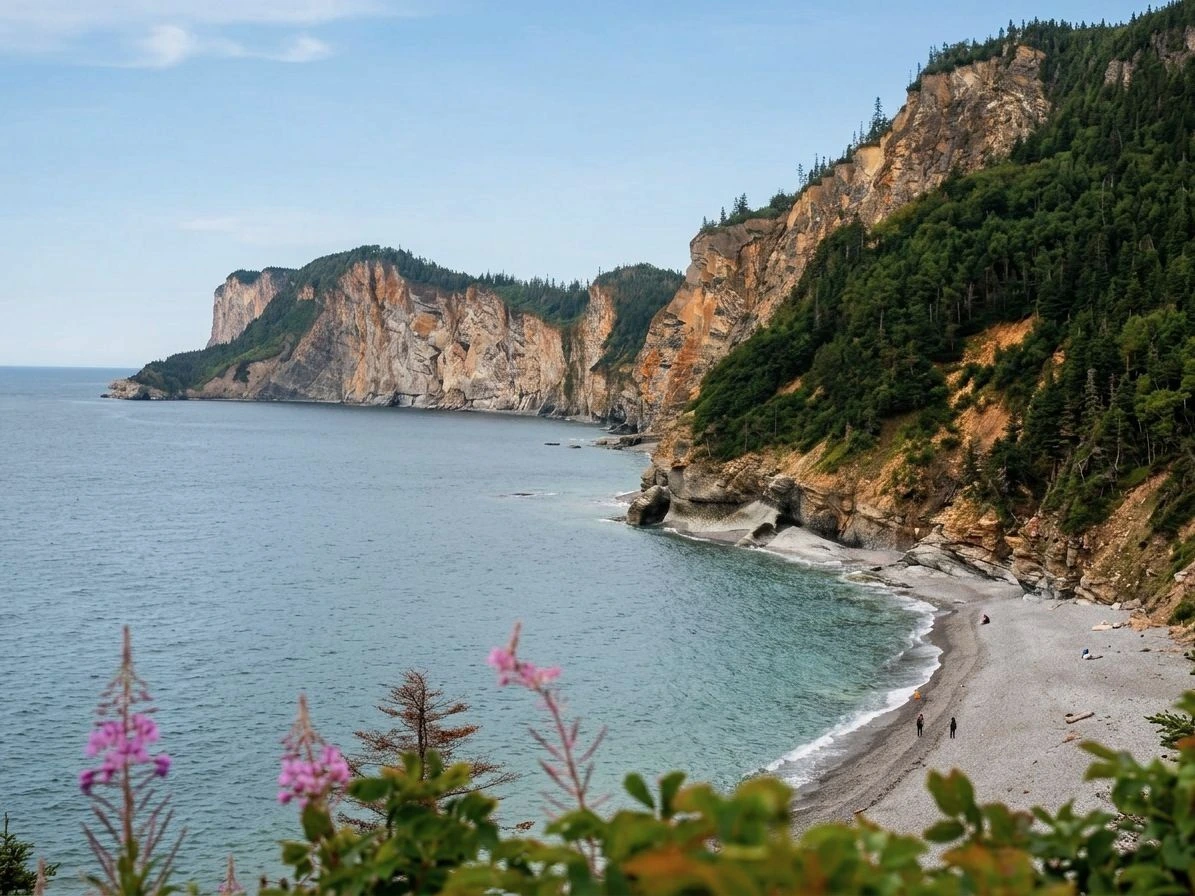 the tip of the Gaspé Peninsula in Forillon National Park, Quebec, the long forested ridge of Cap Gaspé ending in tall ochre sea cliffs meeting the blue Gulf of St. Lawrence (illustration IA)