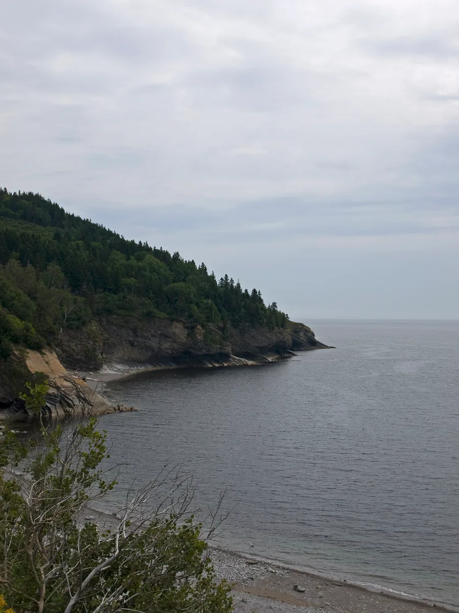 Cap Gaspé, falaises du parc national Forillon