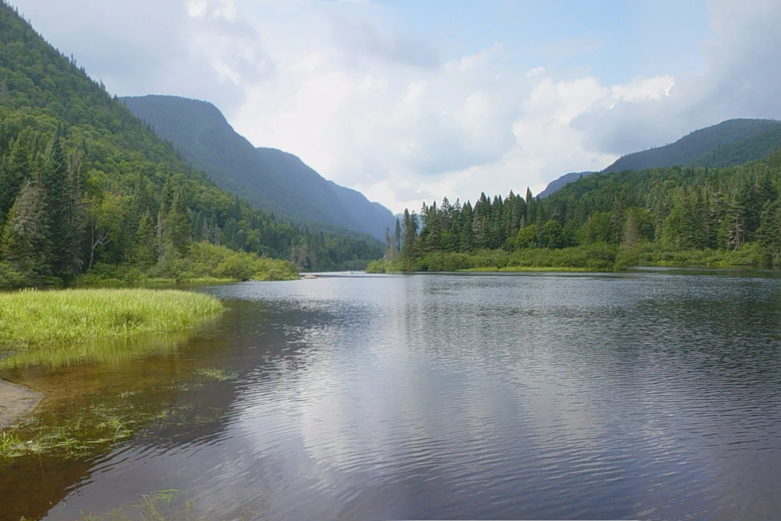 Section calme de la rivière Jacques-Cartier idéale pour le kayak en famille