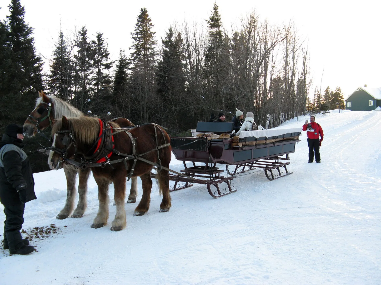 Traîneau à chevaux en hiver à l'Auberge Le Baluchon Saint-Paulin