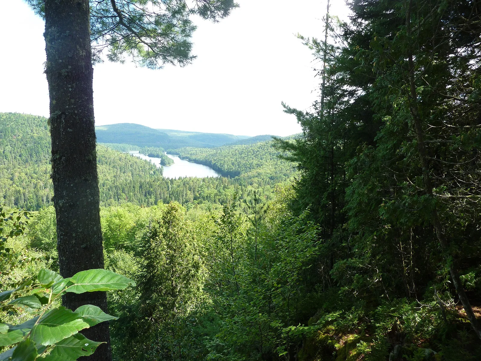 Lac Wapizagonke et collines boisées depuis un point de vue du parc de la Mauricie