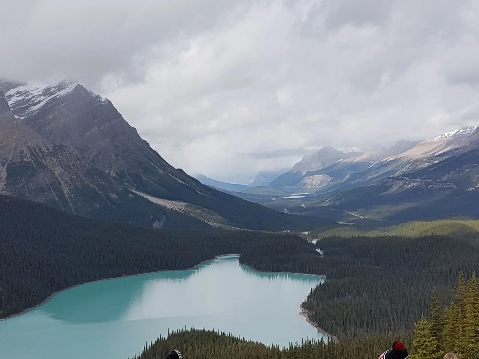 Lac Peyto turquoise vu depuis Bow Summit sur la Promenade des Glaciers