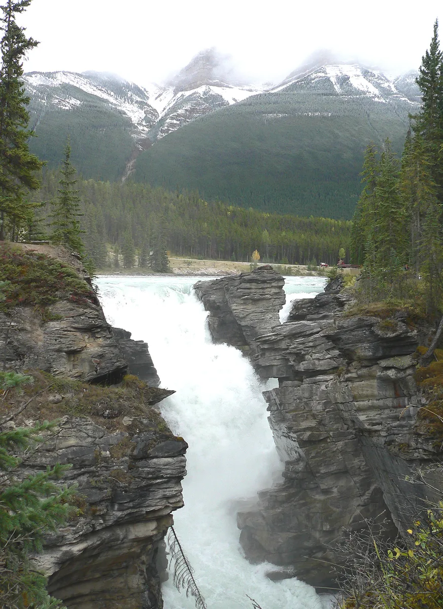 Chutes Athabasca dans le parc national Jasper