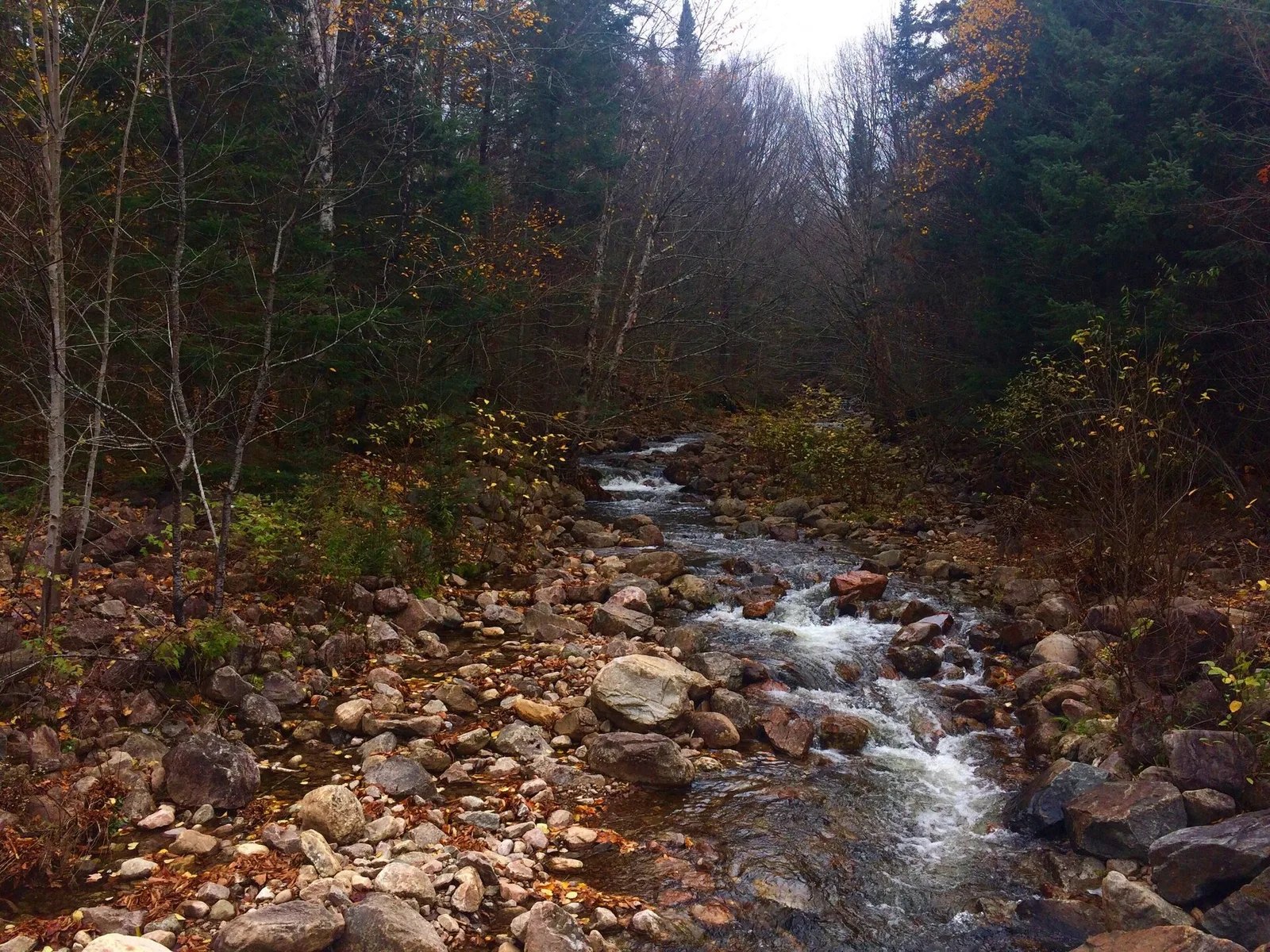 Rivière du Diable, parc national Mont-Tremblant SEPAQ, secteur La Diable