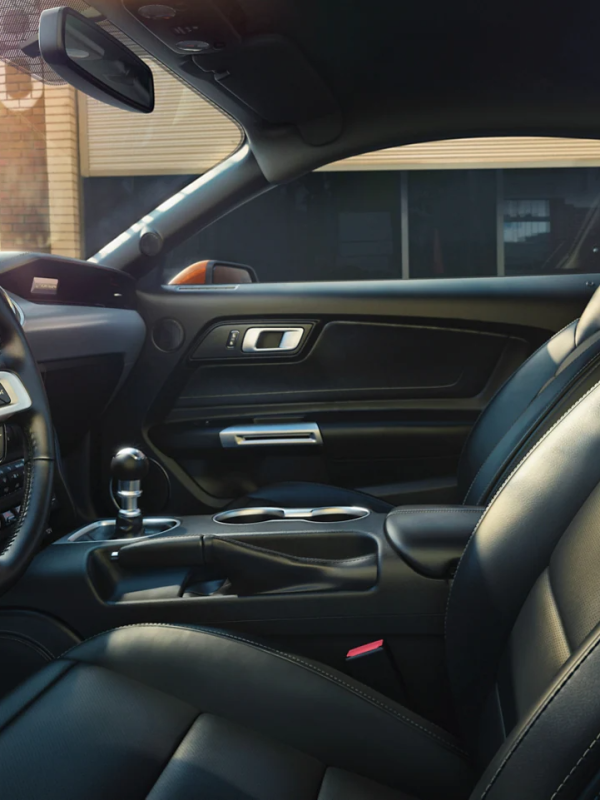 interieur cuir ford mustang location