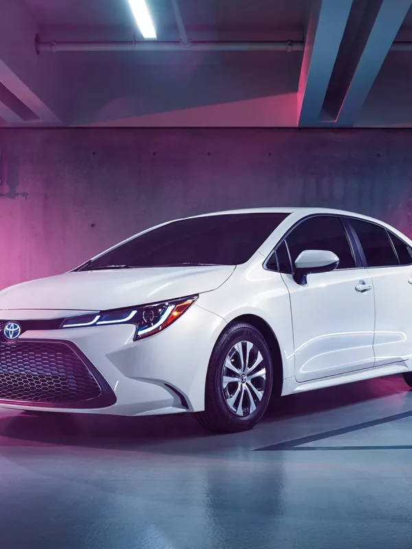 location toyota corolla blanche